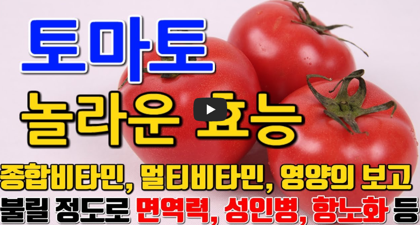 토마토 효능 영상보기