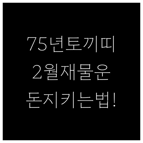 1975년생 을묘년 토끼띠 2025년..