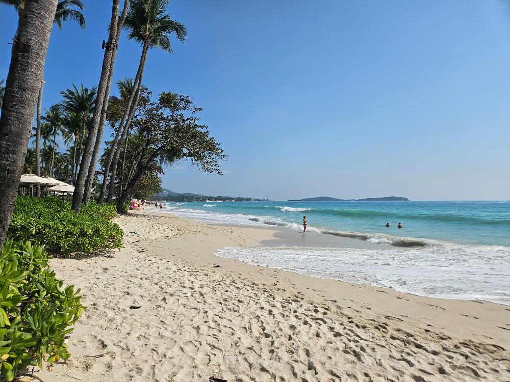 호텔 안 해변 사진