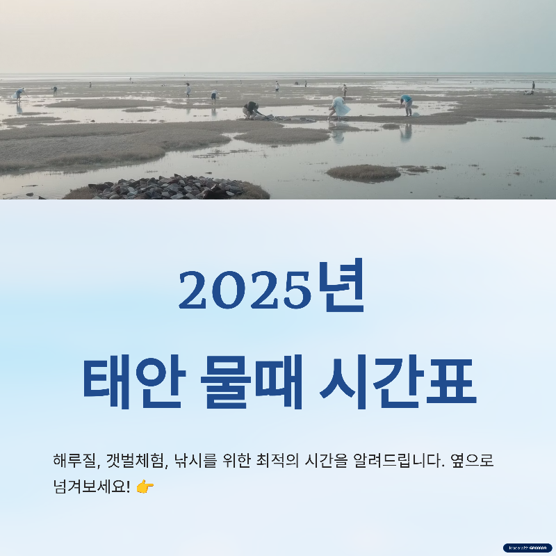 2025 태안 물때 시간표