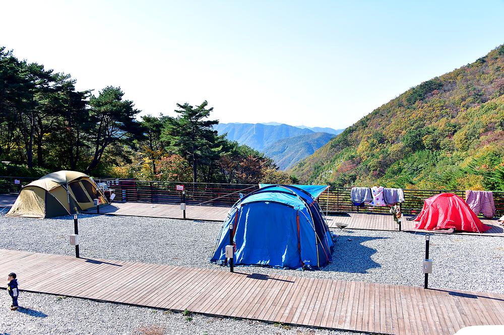 경상남도 밀양시 도래재별빛마을캠핑장