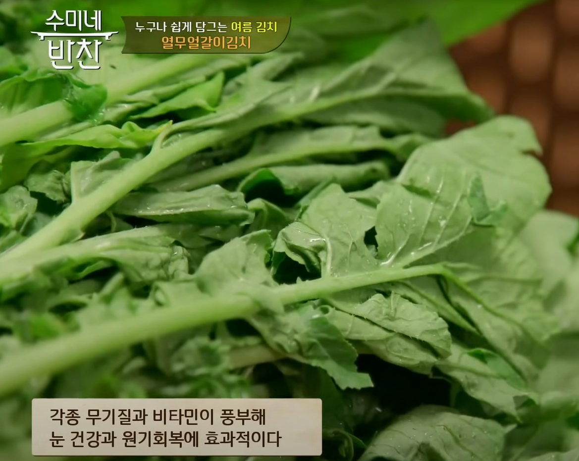 김수미 열무김치 담그는 법 레시피 (출처-수미네반찬)