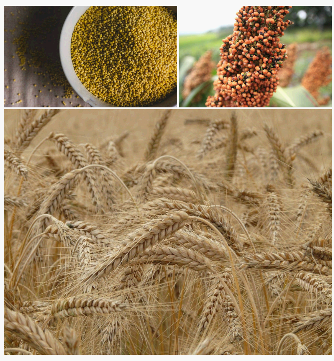 고대 식재료를 활용한 현대 다이어트 식단