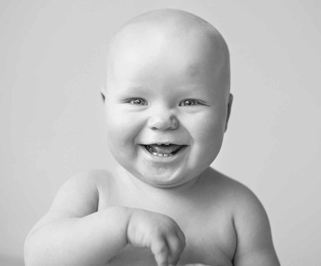 월령별 아이치아 성장단계 관련 사진