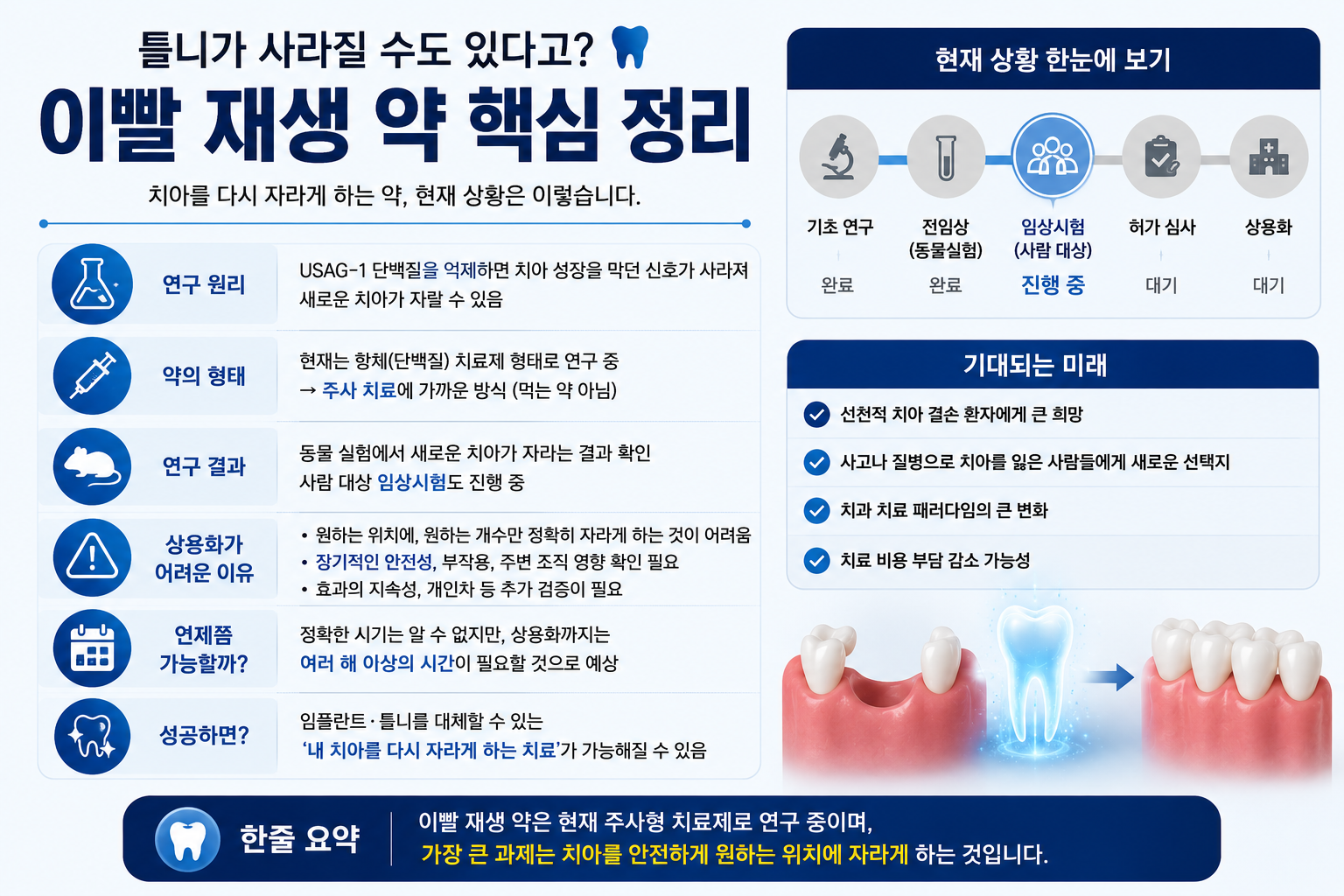 치아 재생 약 핵심 정리와 임상시험 진행 상황