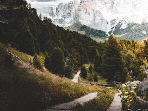 허벅지 통증 원인