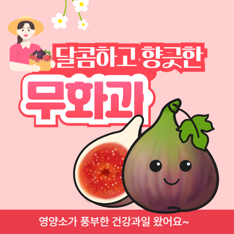 무화과의 효능 수확시기 먹는방법 완벽정리(+말린 무화과 칼로리 당뇨)