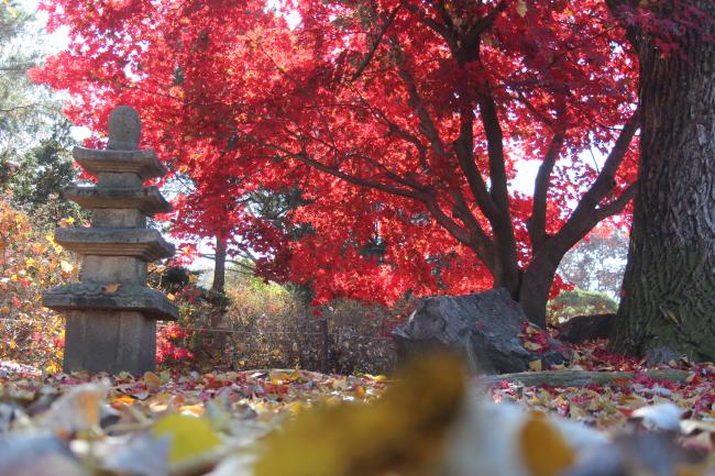 2023-๊ฐ์-๋จํ-์ฌํ-์ถ์ฒ-ํฌ์ฒ-์์ด๋์ฐ