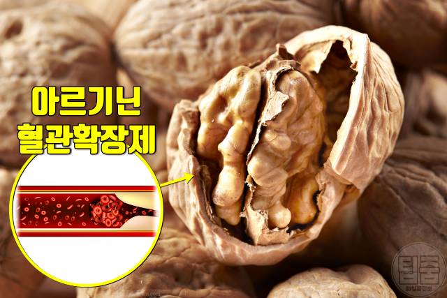 혈액순환 잘되는 음식 호두,혈액순환에 좋은 영양제 아르기닌