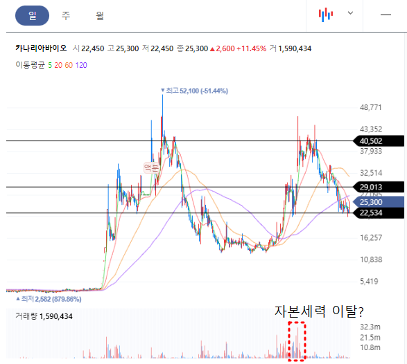 카나리아바이오 일봉차트
