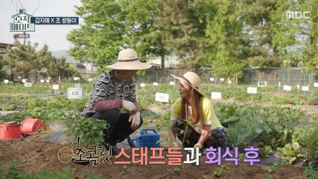 호적메이트 고양 일산 김정은 김정민 자매 리틀포레스트 주말농장 텃밭 농사 체험 추천