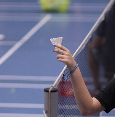 파리올림픽 배드민턴 관련 사진