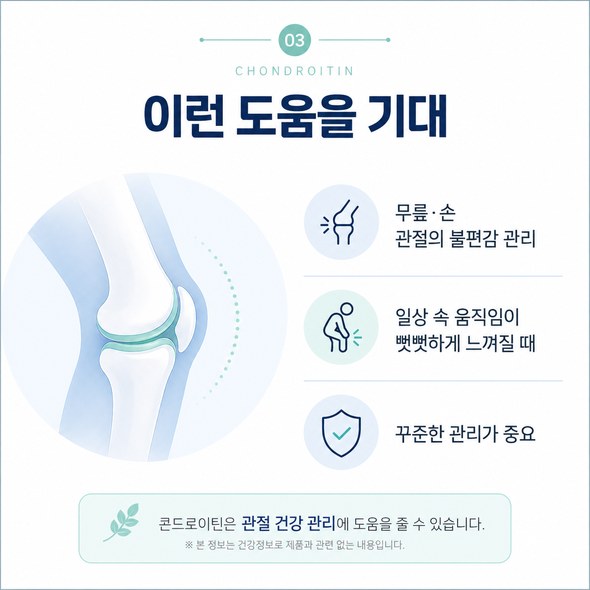 콘드로이친 효능