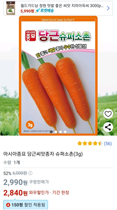당근씨앗