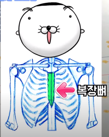 김락희의 인체 드로잉