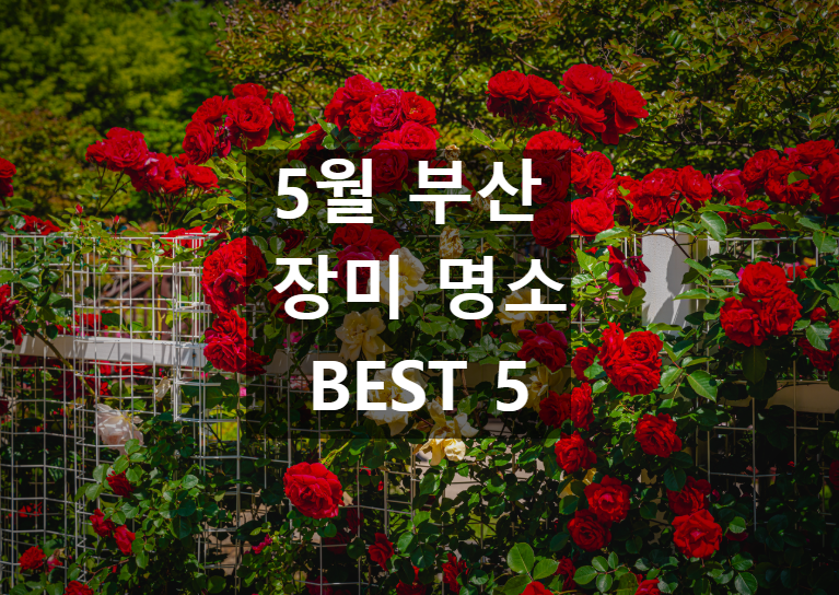 장미명소