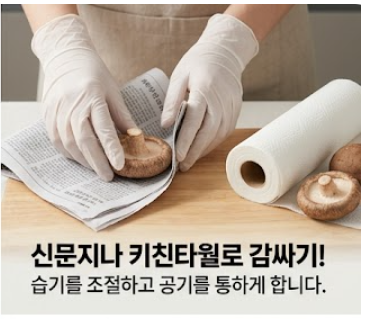 표고버섯 보관방법