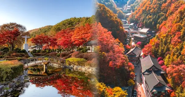 충청도-단풍