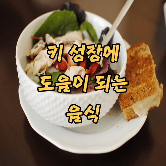 키 성장에 도움이 되는 음식