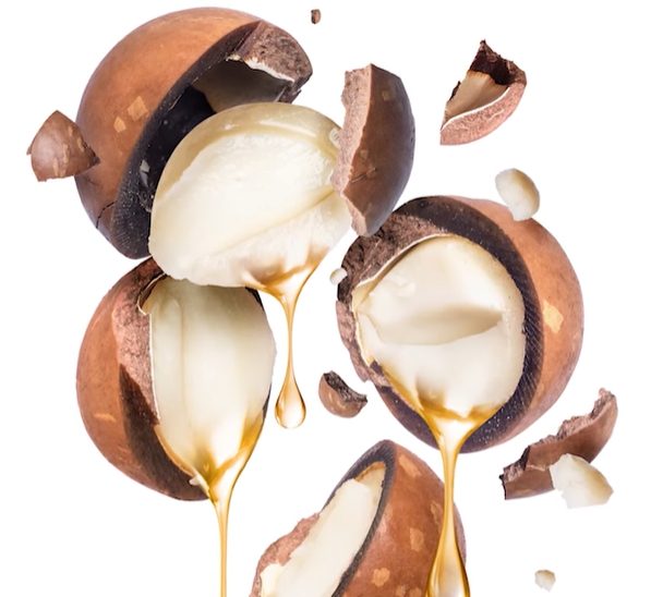 마카다미아의 효능