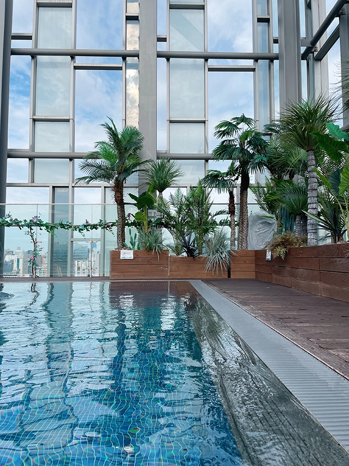 노보텔 앰배서더 동대문 서울 야외 루프탑 수영장