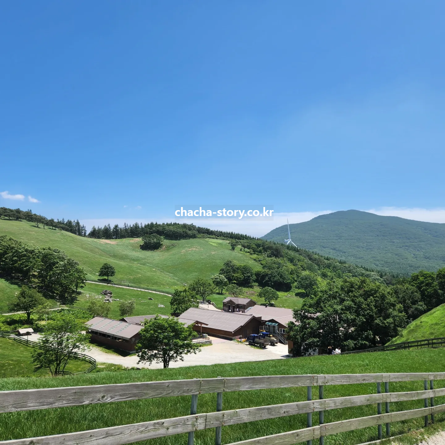 대관령-양떼목장-5