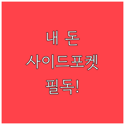 유동성 위기 방어하는 RIA 사이드 ..