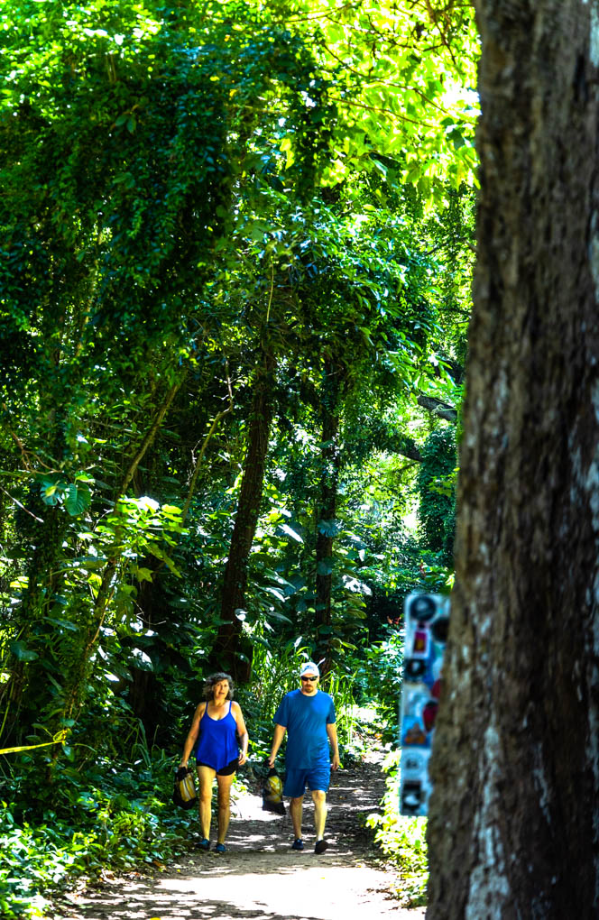 마우이 호놀루아 베이