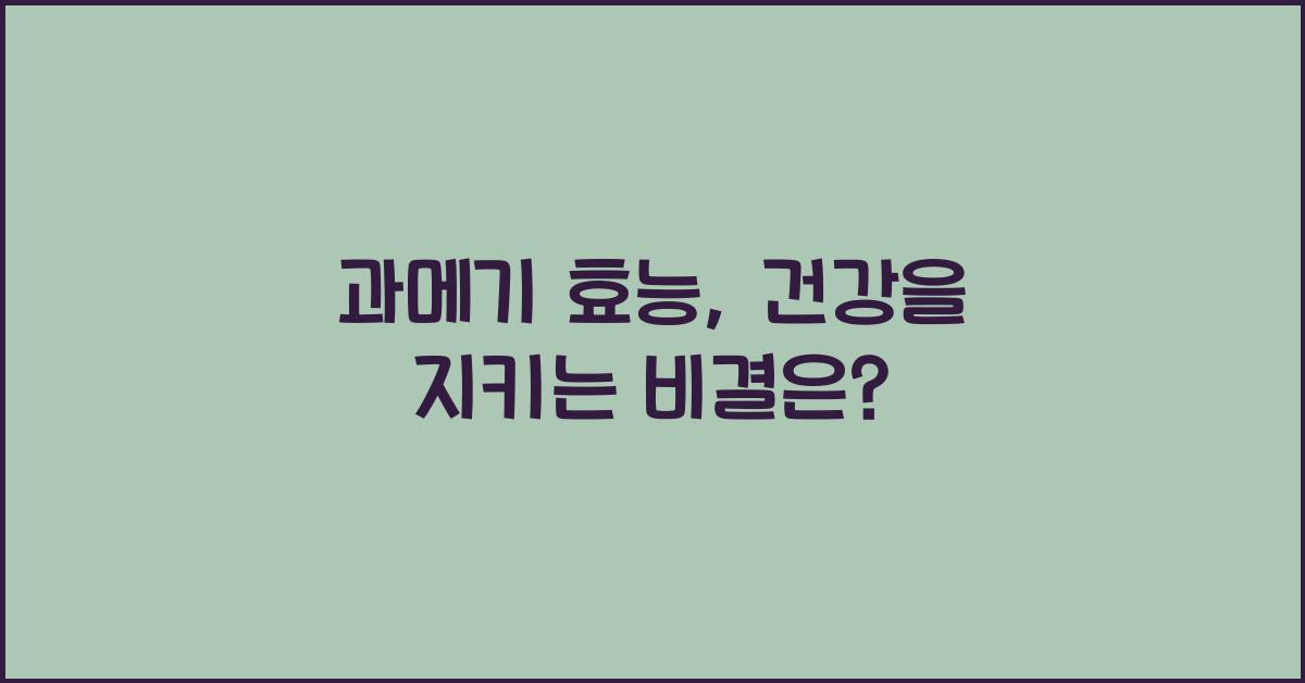 과메기 효능