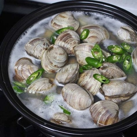 비브리오 패혈증