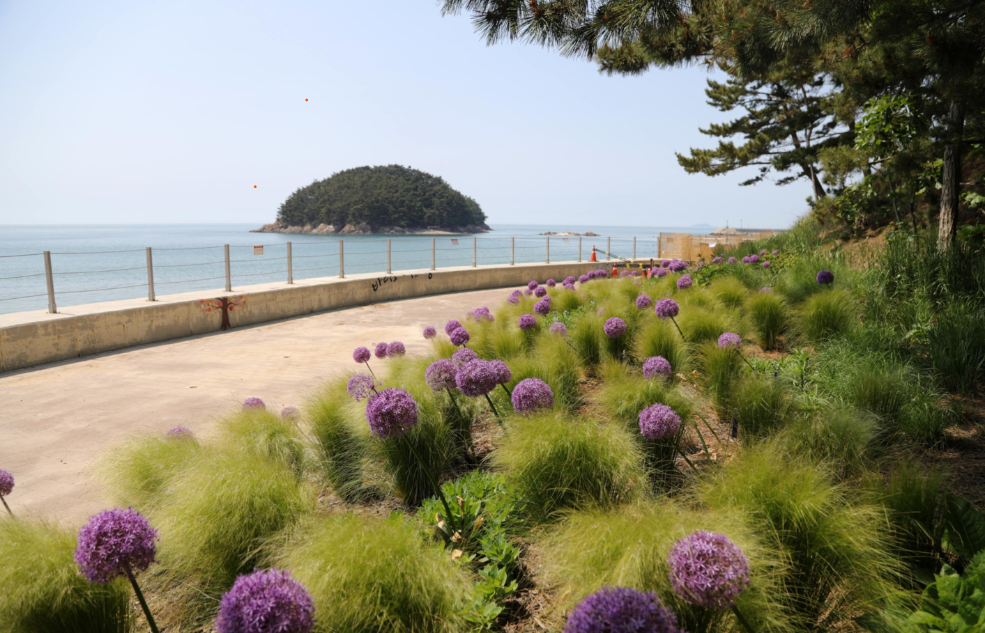 태안 천리포 수목원 해안 산책길 사진