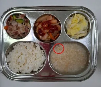 구더기 생기는 이유 방지 방법 정리_25
