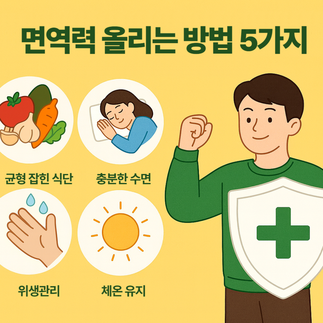 면역력 올리는 방법 5가지