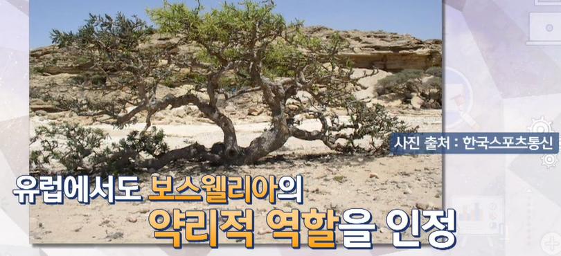 보스웰리아
