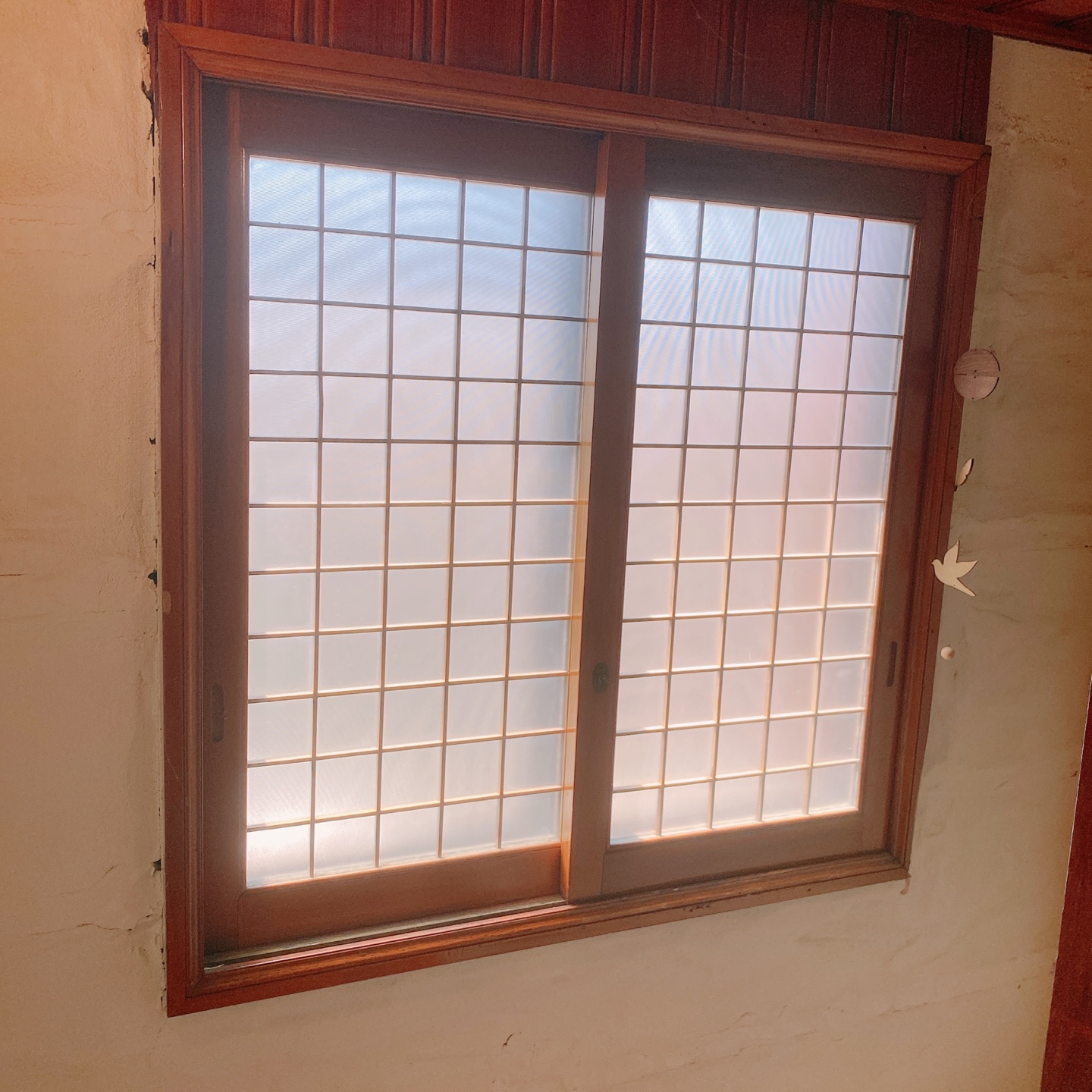 제주시청 대학로거리 주택개조 카페 라토커피