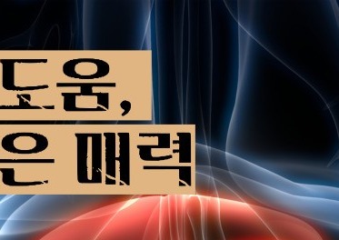 마늘 효능