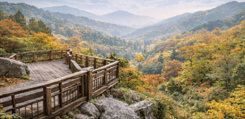 화담숲 예약방법 총정리