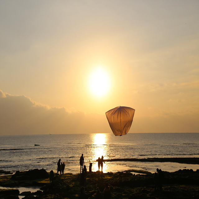 2026년 양띠 신년운세 무료보기