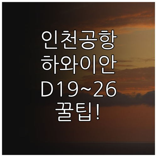 인천공항 하와이안 항공 1터미널 D1..