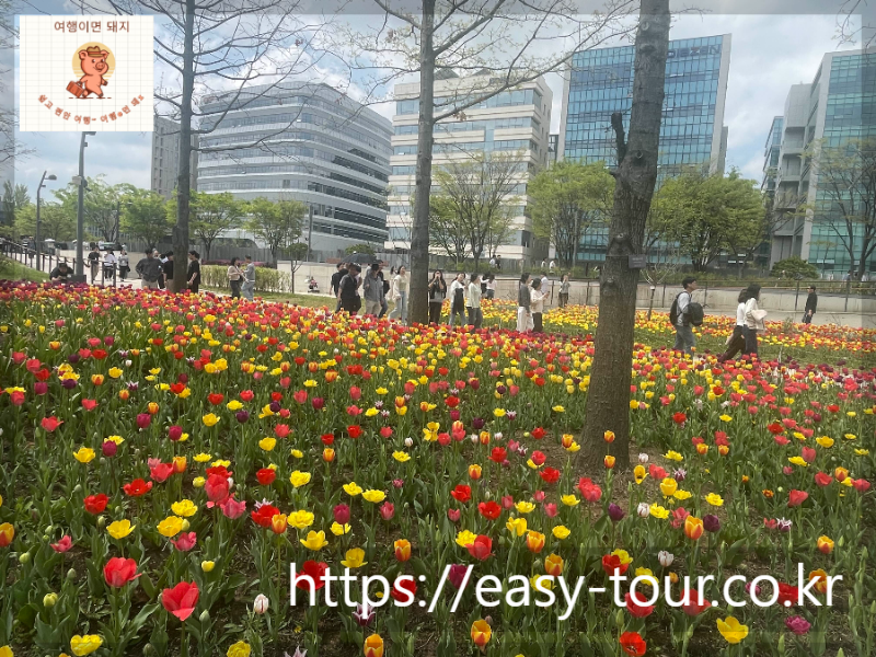 서울식물원 튤립