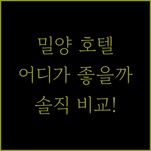 밀양 호텔 어디가 좋을까 더반 vs ..