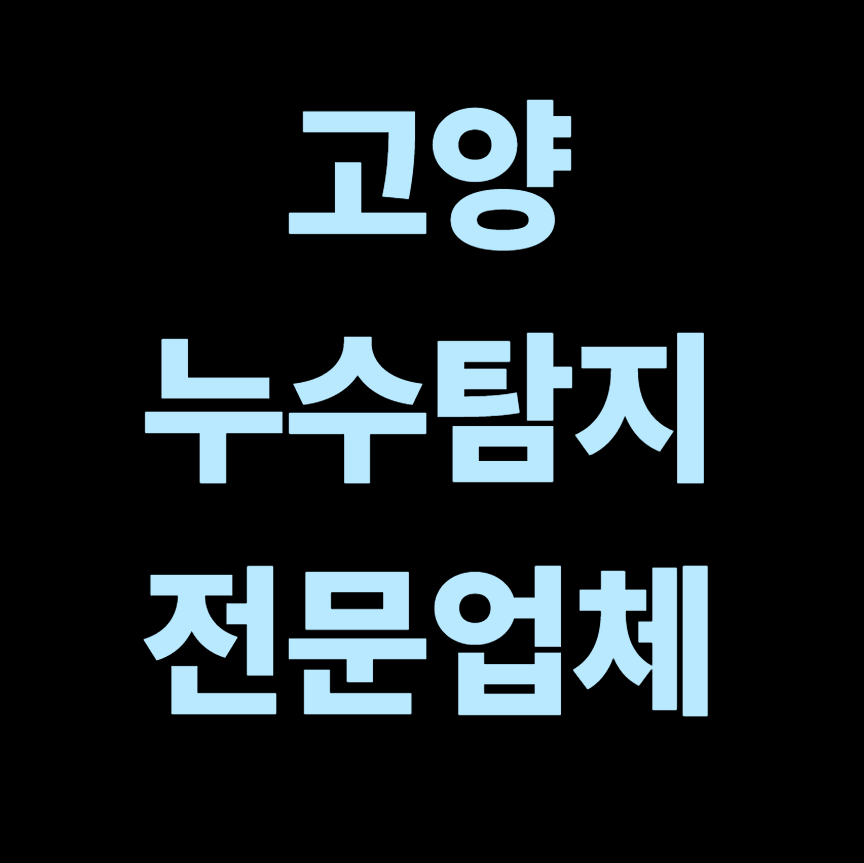 고양 누수탐지 전문업체