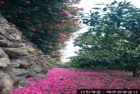 추석민생대책-숙박쿠폰받는방법-10월2일임시공휴일확정