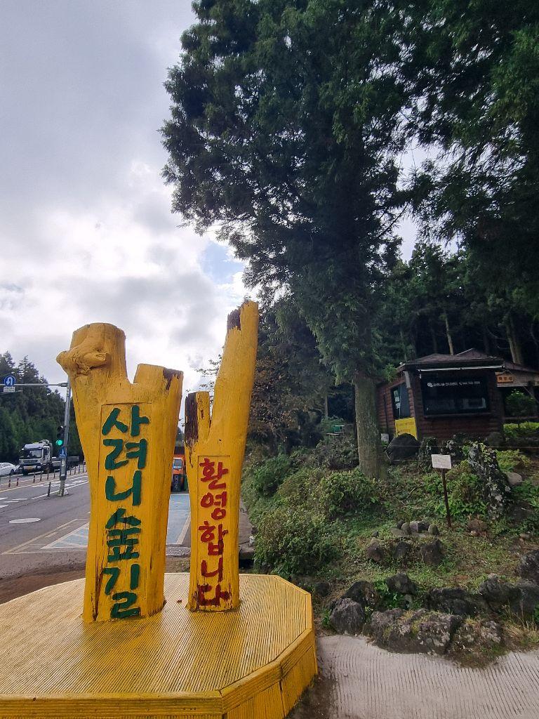 사려니숲 / 사진출처=한국관광공사