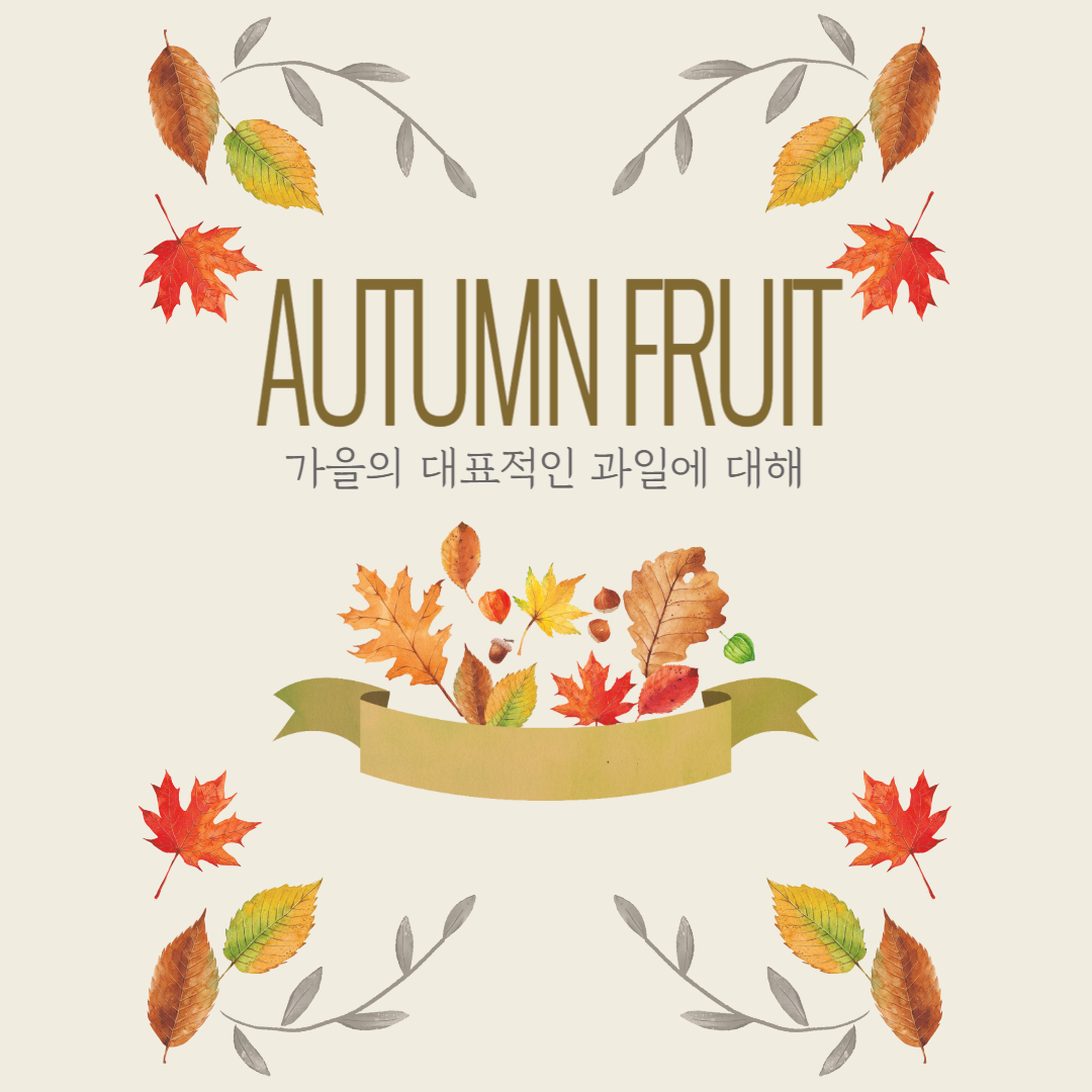 가을 대표 '과일'에 대한 이야기