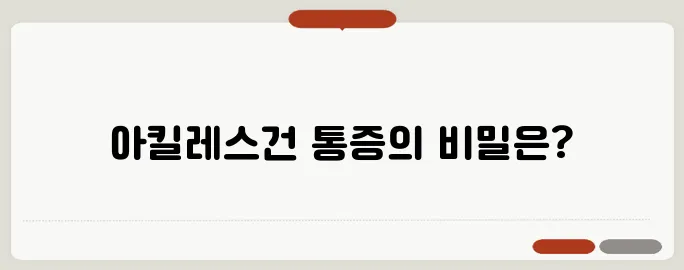 아킬레스건 통증 원인과 재활 방법