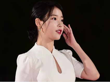 아이유 콘서트 기본 정보
