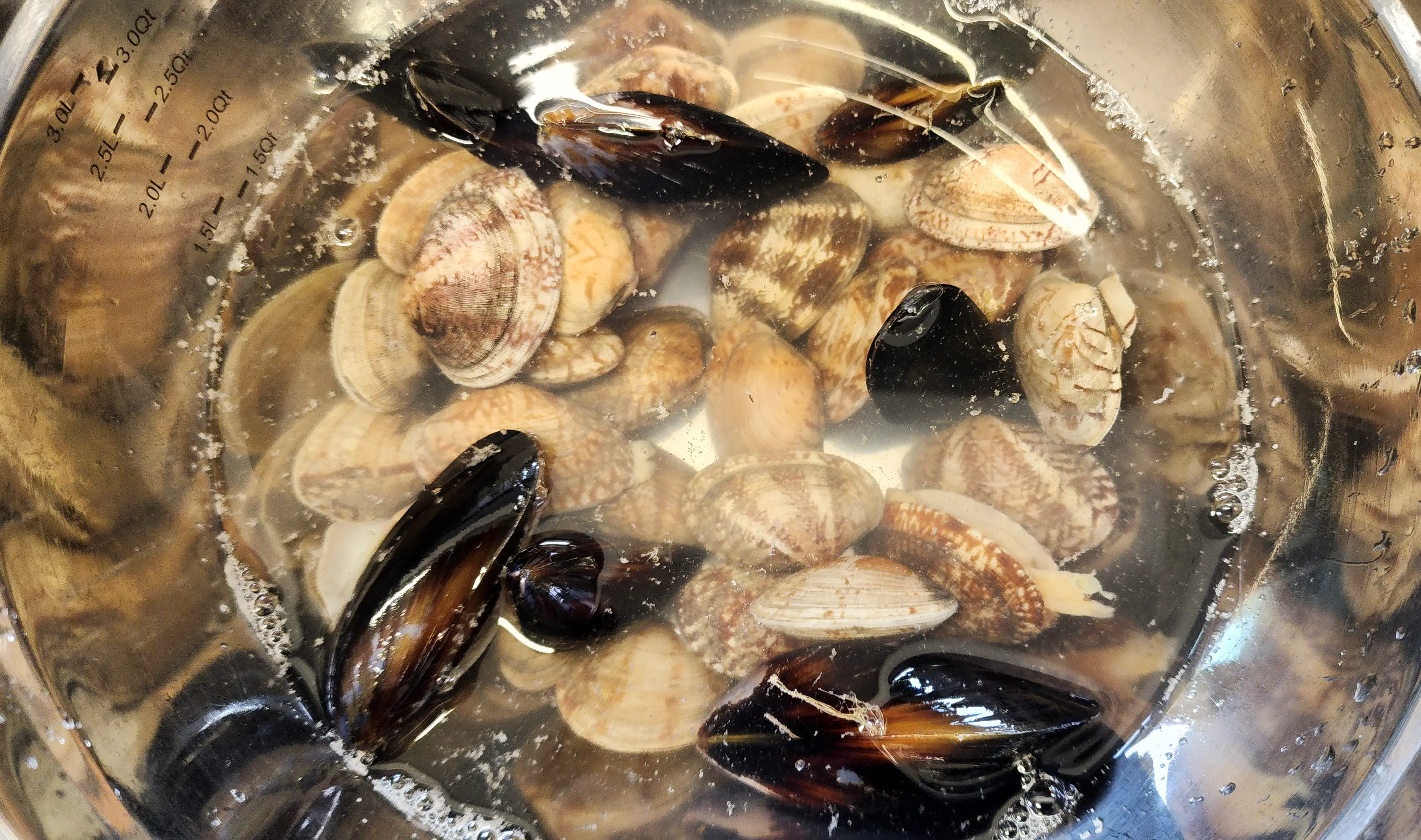해감전-물에-담가져있는-홍합과-바지락_02