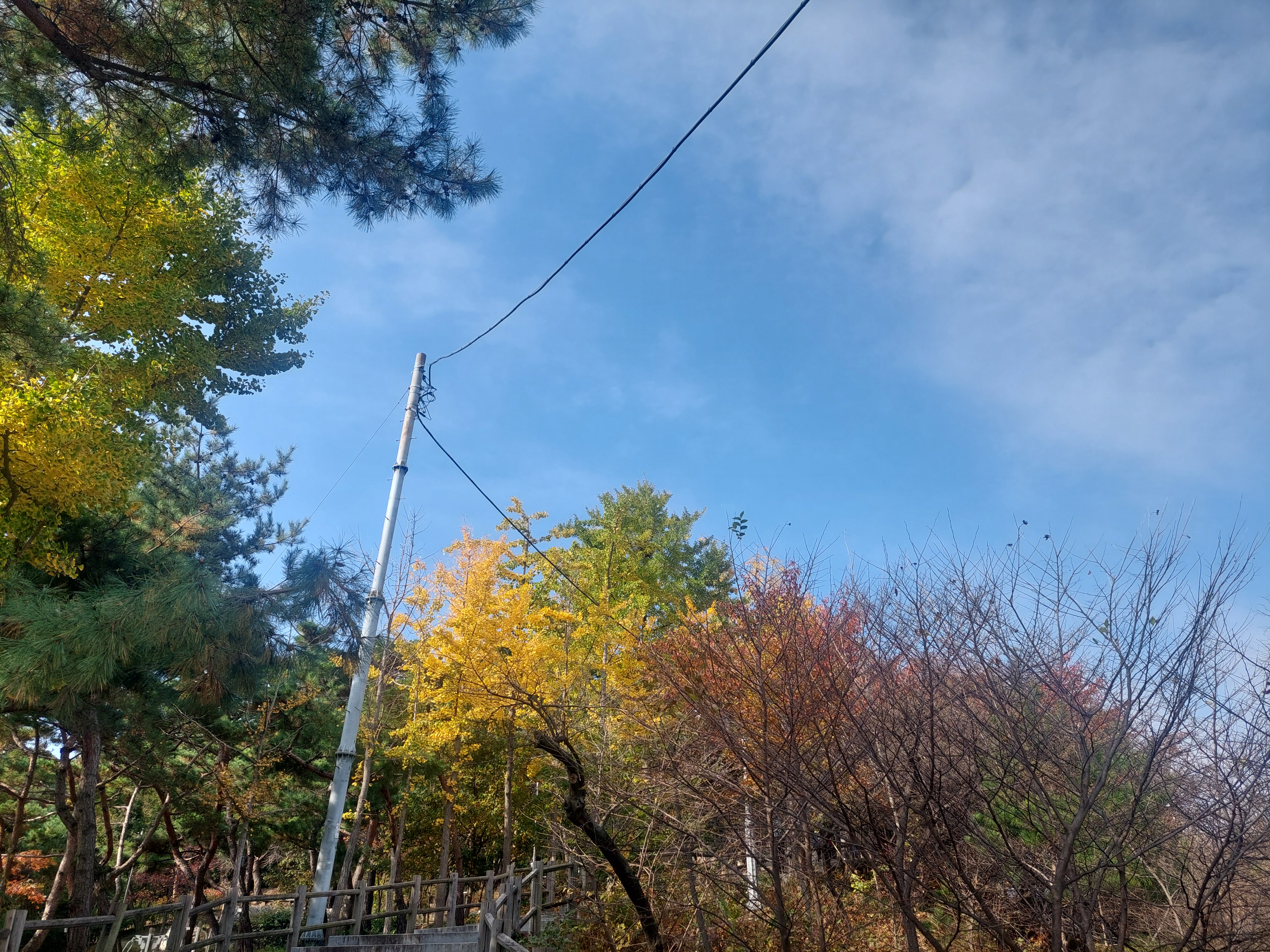 남산