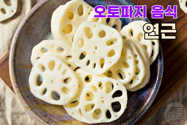 오토파지 단식 다이어트 오토파지 음식 연근